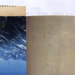 flesh paper mountain
